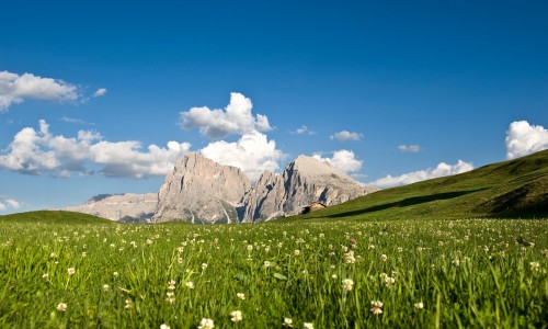 Le nostre offerte speciali