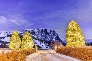 Magical christmas time ⭐